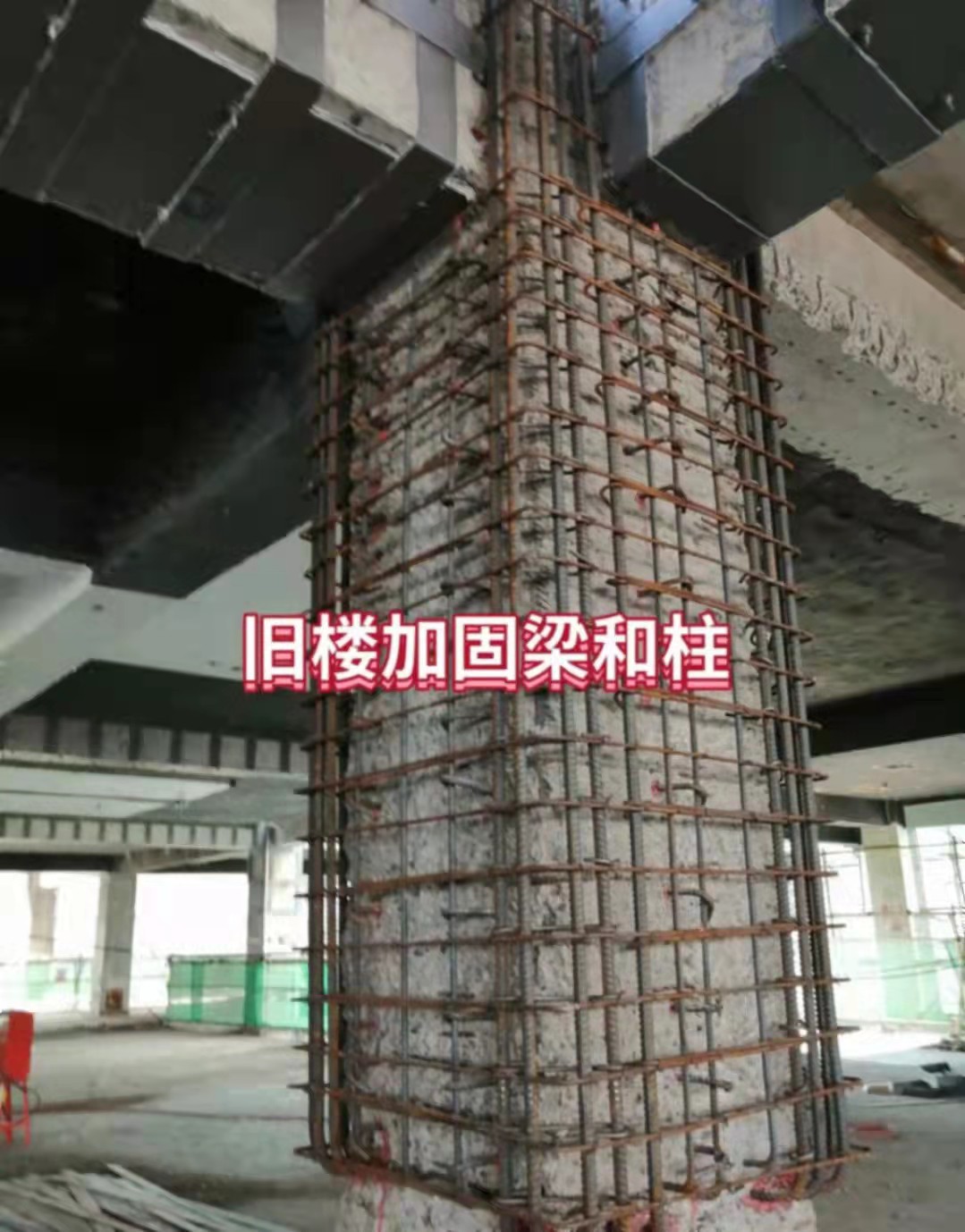 成功案例