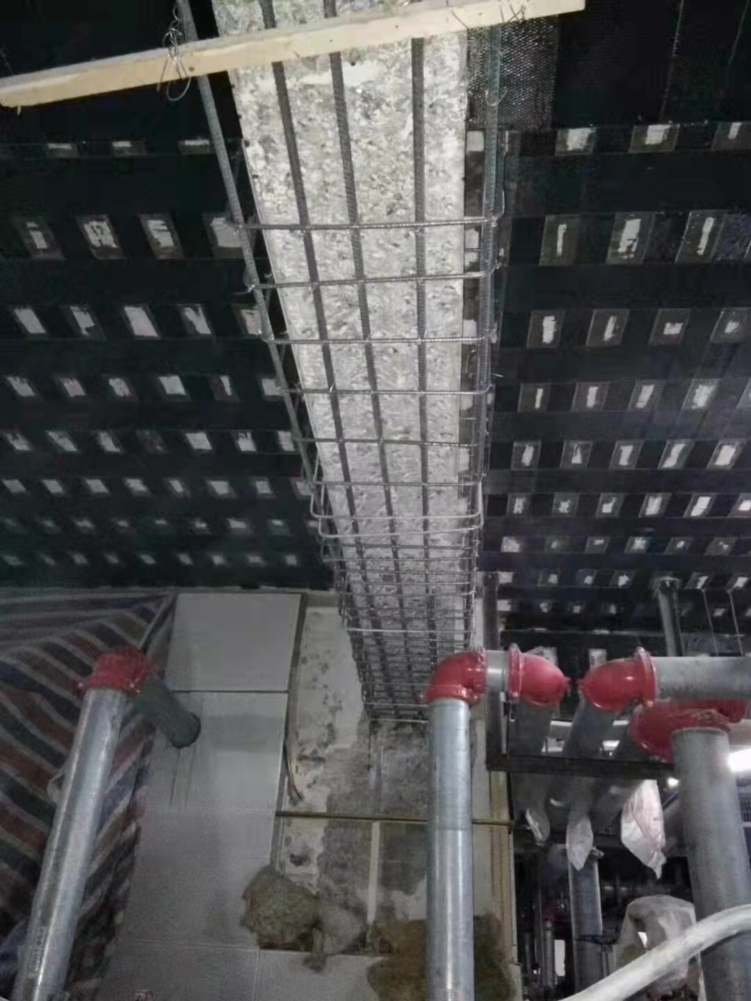成功案例
